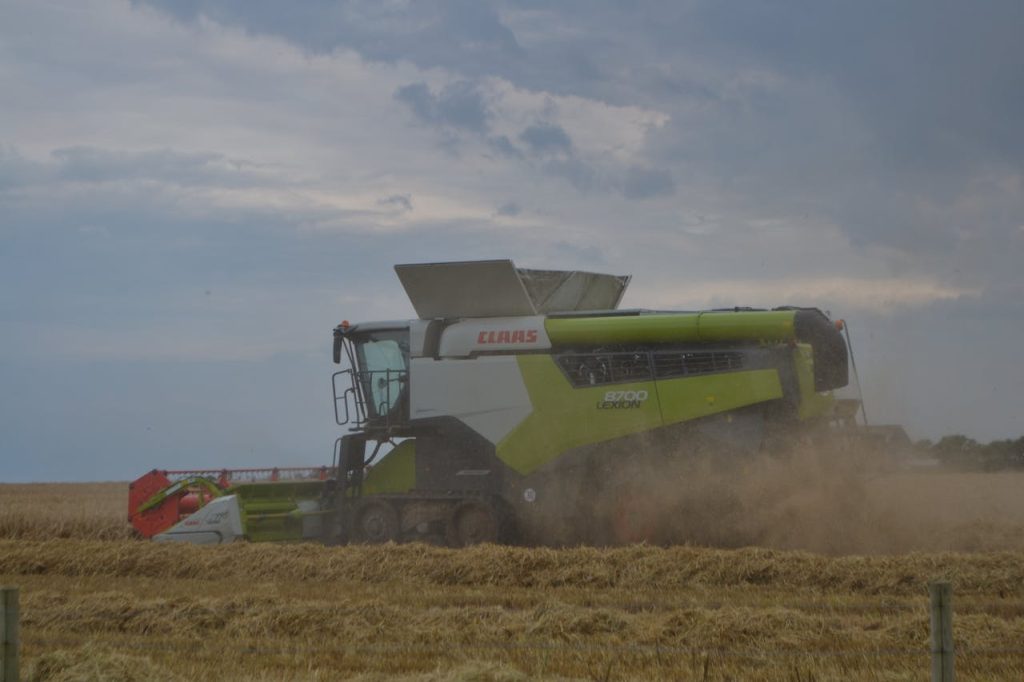 pexels photo 32539258.jpeg