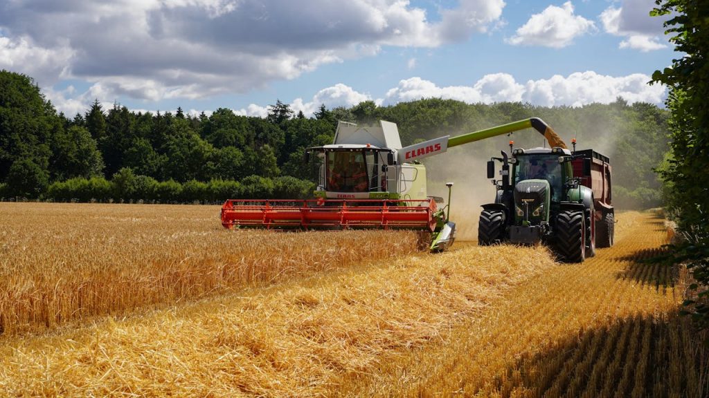 pexels photo 35284422.jpeg